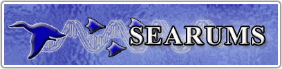 SEARUMS